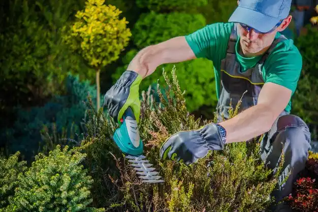 landscaping services Friars Point